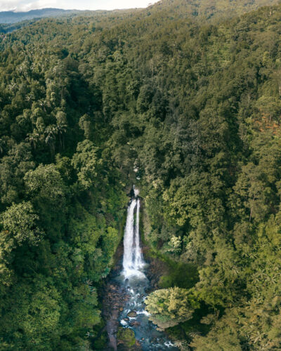 Gitgit Waterfall dronebillede med jungle