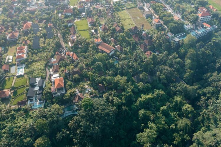 Dronebillede af villaområde i Ubud med flod og jungle