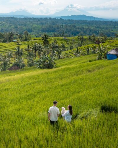 Alex & Victoria ved Jatiluwih Rice Terraces