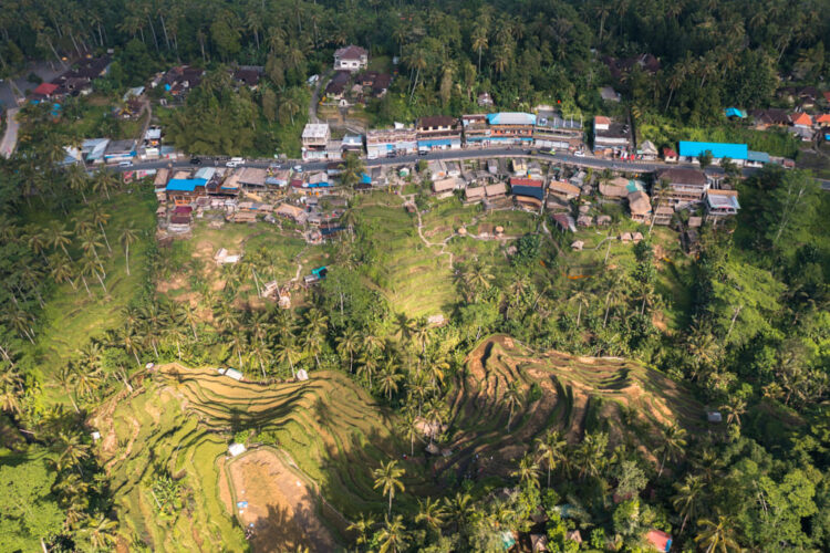 Risterrasserne i Tegallalang dronebillede med vejen og terrasserne set lige oppefra
