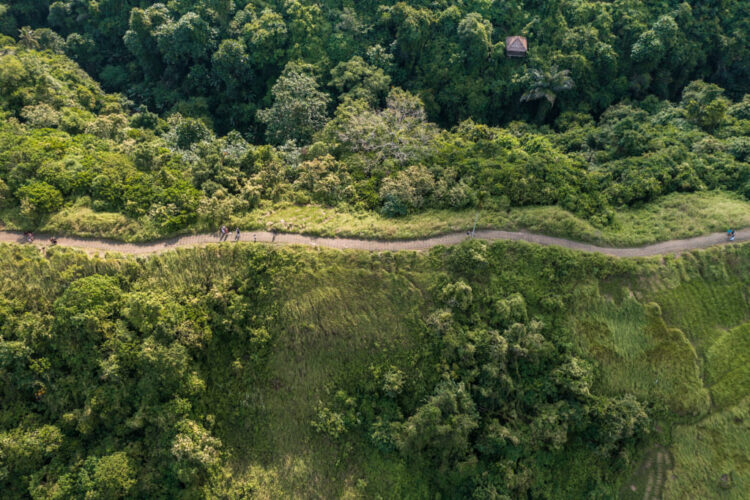 Campuhan Ridge Walk dronebillede