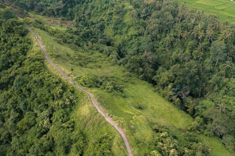 Campuhan Ridge Walk dronebillede