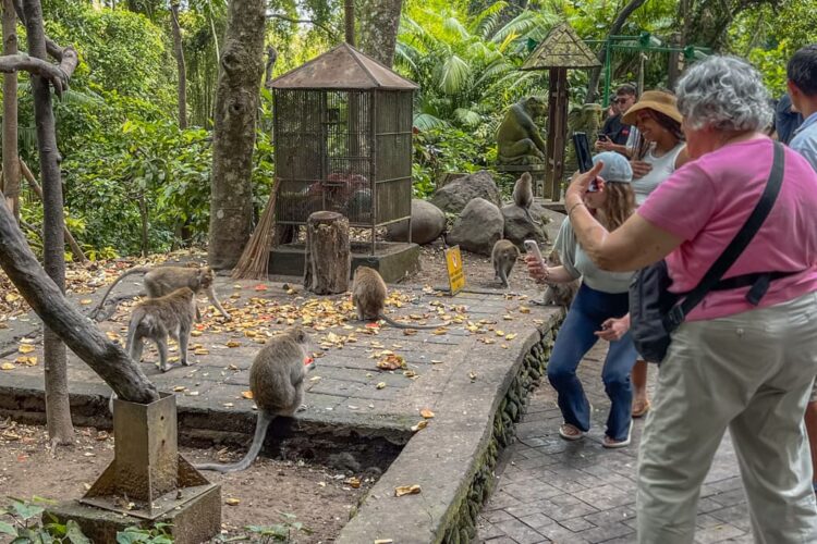 Turister i Abeskoven i Ubud
