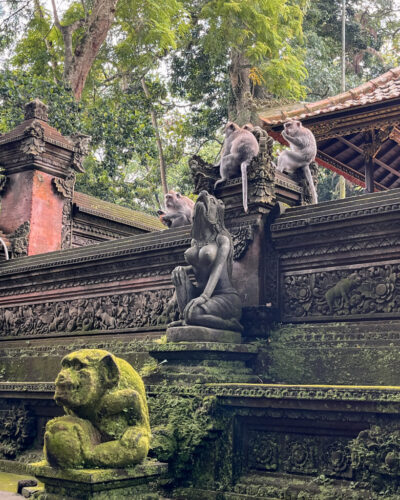 Templer i Ubud Monkey Forest