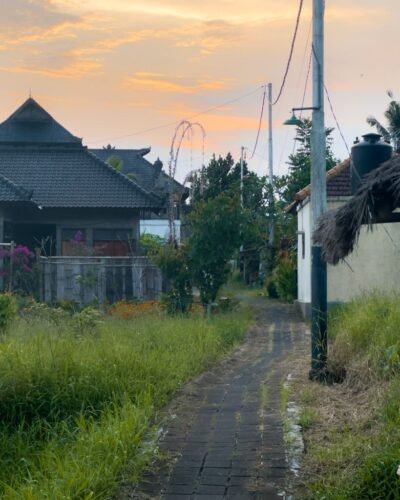 Vej i Penestanan blandt rismarkerne