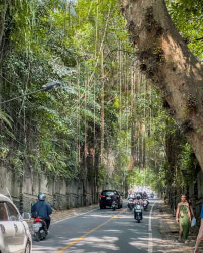 Gaden mellem Ubud centrum og Penestanan