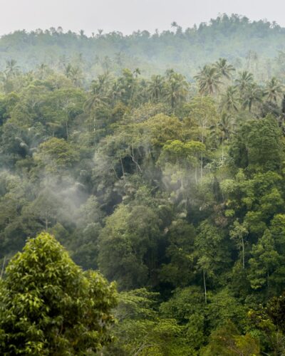 Udsigt fra restauranten ved Leke Leke Waterfall