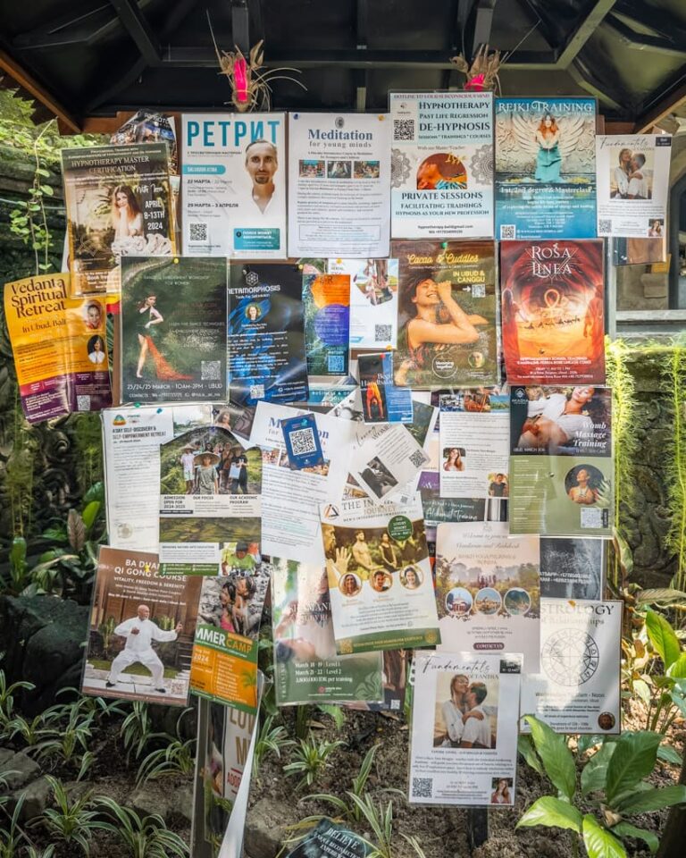Kursus og workshops i Ubud