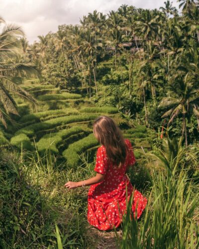 Victoria ved Tegallalang