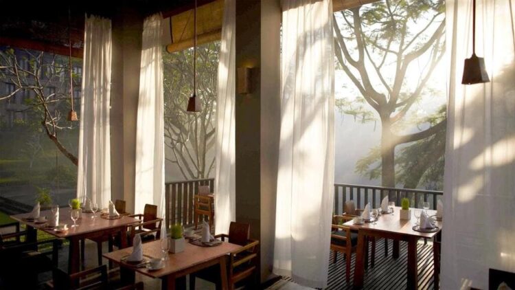 Smukt lys om morgenen hos Maya Ubud