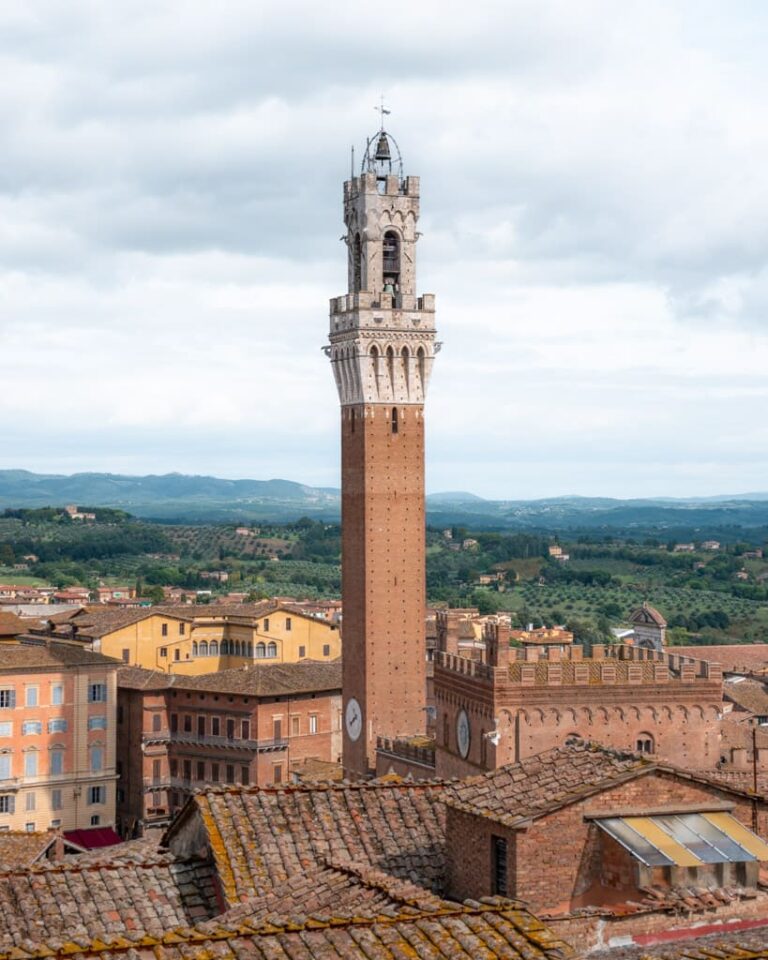 Piazza del Campo fra Panorama dal Facciatone