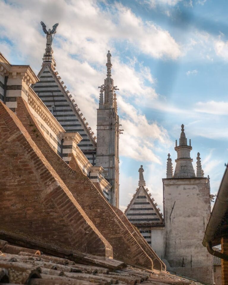 På taget af Il Duomo i Siena