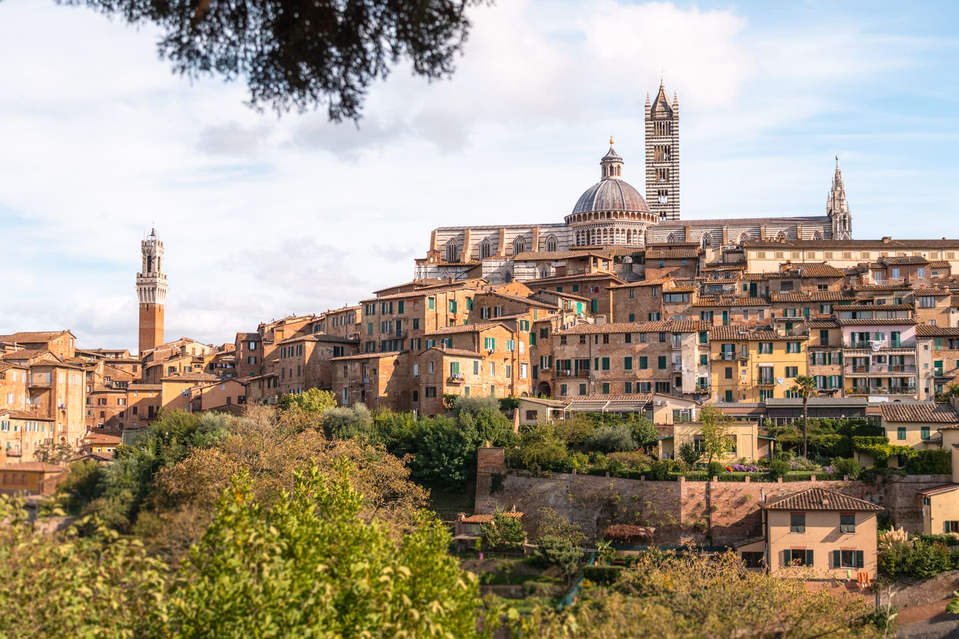 Hvor skal man bo i Siena? De bedste hoteller bag (og uden for) de gamle bymure