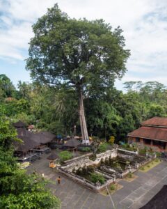 Goa Gajah-tempelkomplekset