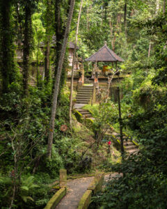 Tempel i junglen ved Goa Gajah