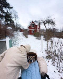 Baby og sne i Sverige