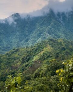 Dal i Amed-området med risterrasser på en skråning