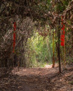 Monk's Trail i Chiang Mai