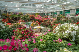 Blomsterhave i Royal Park Rajapruek