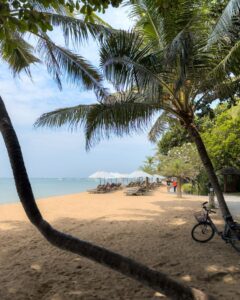 Sanur-strand med palmer og strandstole