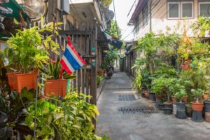 Stille gade med planter i Bangkok