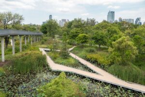 Benjakitti Forest Park