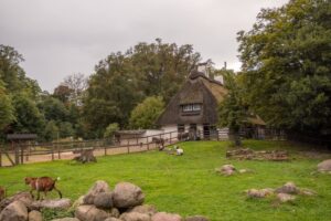 Dyr i floden i Bremens Bürgerpark