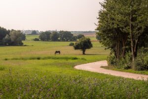 Roadtrip i Mecklenburg-Vorpommern og hest på landet