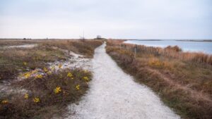 Sti på vej ned til stranden