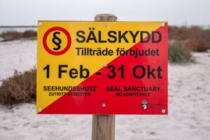 Skilt hvor der står hvornår stranden er lukket (1. feb - 31. okt)