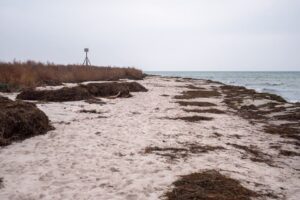 Stranden på vej ned til sælerne