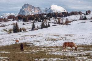 Alpe di Siusi i november
