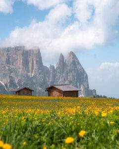 Alpe di Siusi om sommeren