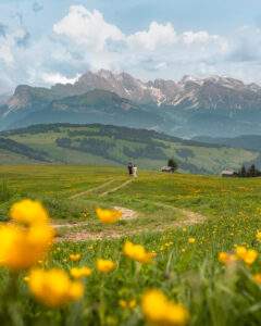 Alex og Victoria på Alpe di Siusi med blomster