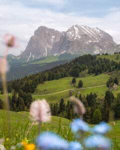 Udsigt fra Alpe di Siusi