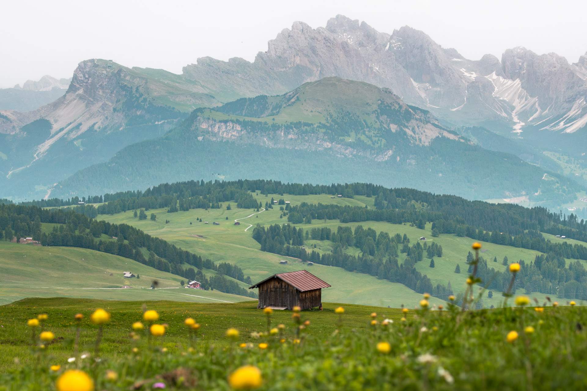 Alpe di Siusi/Seiser Alm: Guide til vandring, transport & bedste hoteller