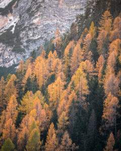 Efterår ved Lago di Braies