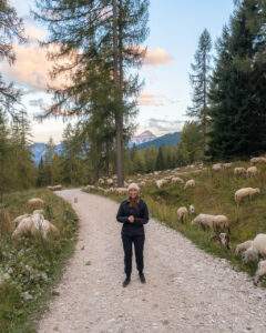 Victoria og mange får på vejen tilbage fra Lago di Coldai