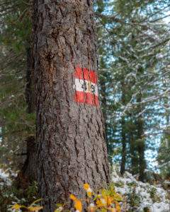 Markering af sti nr. 419 mod Forcella Averau