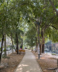 Skyggefuld sti i Mexico City