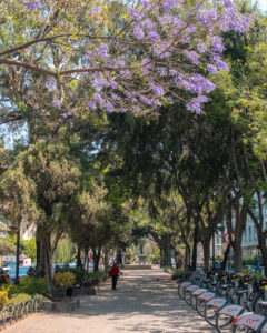 Skyggefuldt sted at gå i Mexico City
