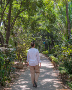 Victoria i Condesa i Mexico City