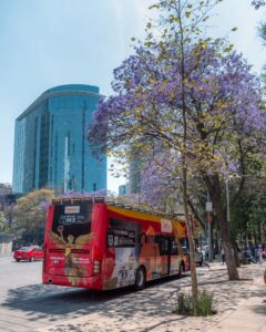 Hop on hop off-busser i Mexico City