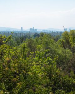 Udsigt over Chapultepec-parken fra slottet