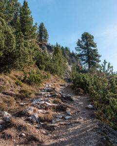 Sti på vej til Monte Specie i Dolomitterne