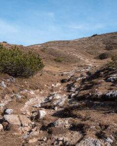 Sti ved Monte Specie i Dolomitterne