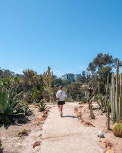 Kaktushaverne i Balboa Park