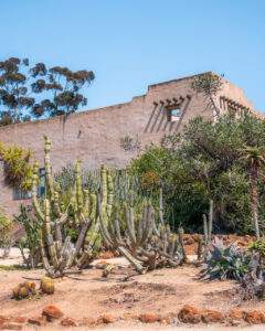 Kaktushaverne i Balboa Park