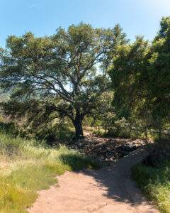 Vandretur ved Mission Trails Regional Park